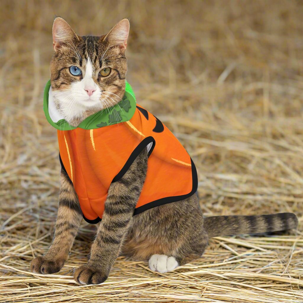 halloween cat costume pumpkin hoodie