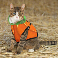 Thumbnail for halloween cat costume pumpkin hoodie