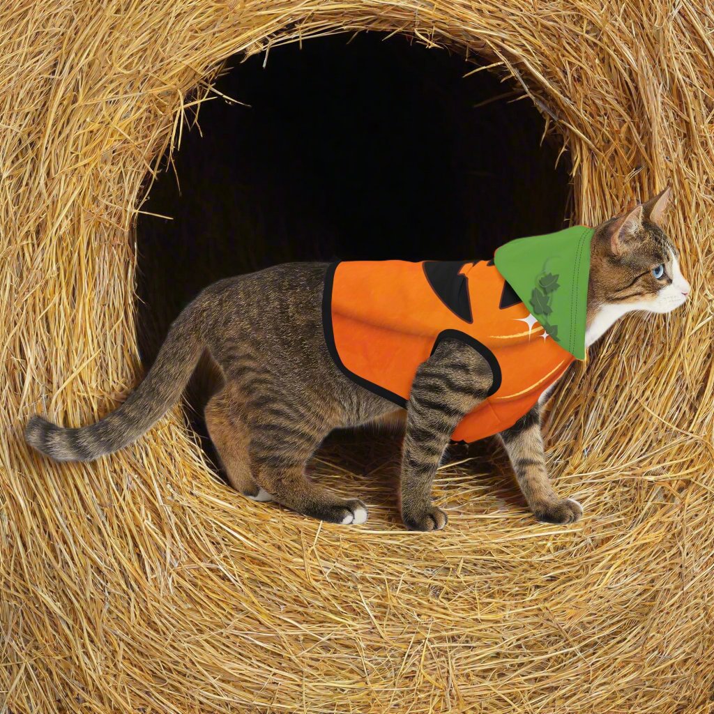 halloween cat costume pumpkin hoodie