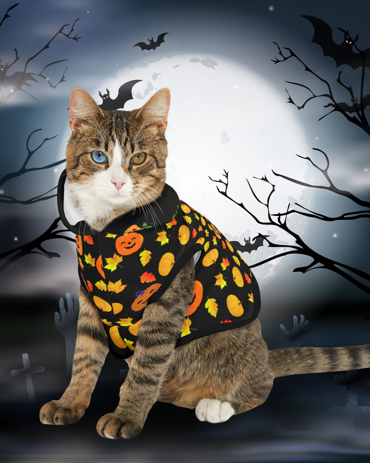 Jack O'Lantern Pumpkin Cat Jacket Pet Hoodie