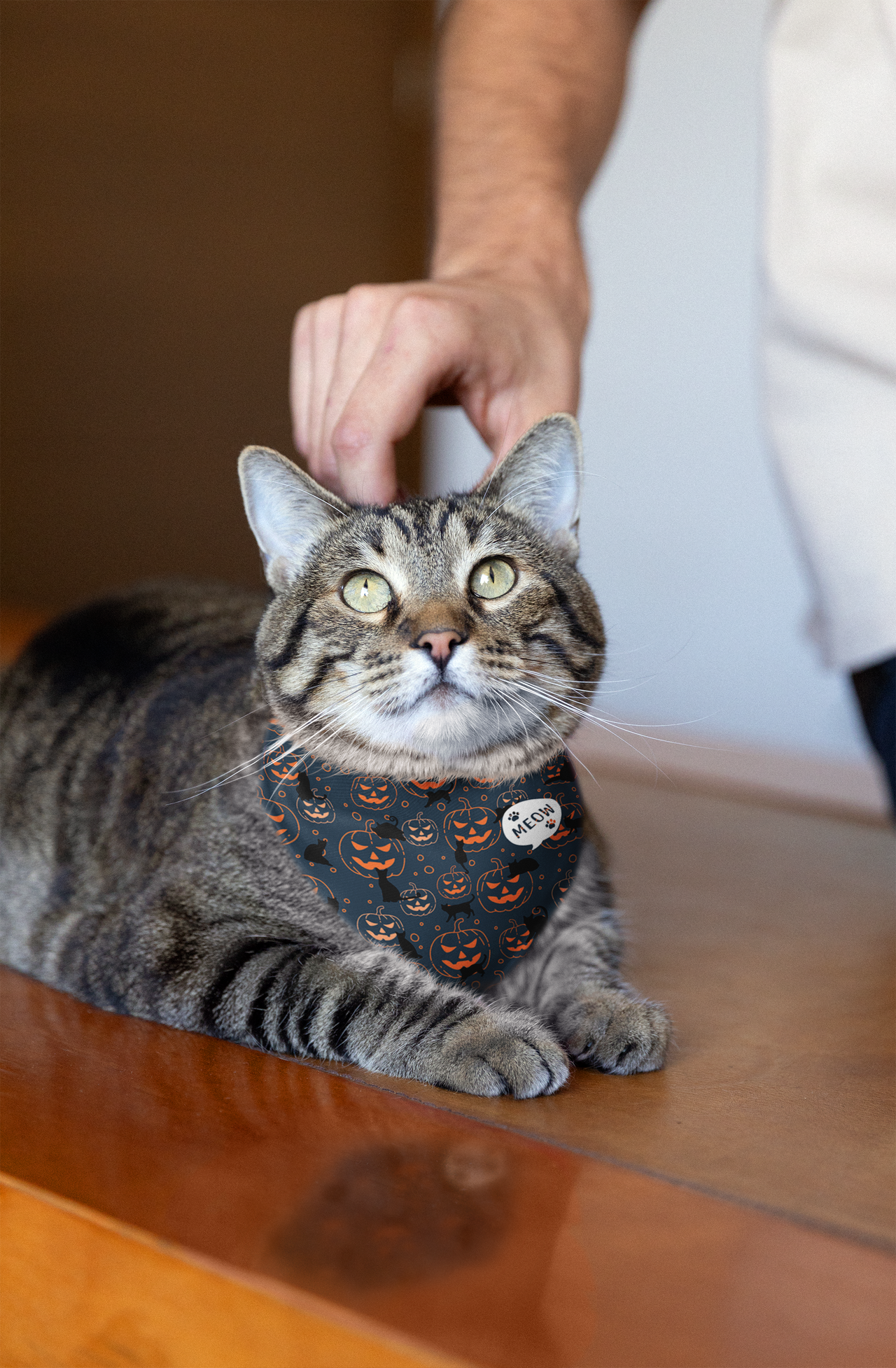 Pumpkin Cat Pet Bandana Collar Spooky Kittie Cat Clip-On Accessory